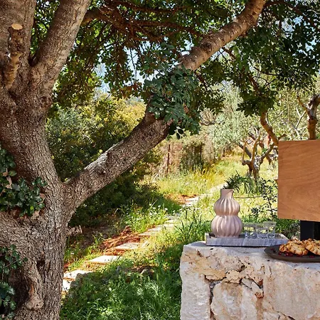 New Luxury Olives & Thyme Retreat, Seaview With 2 Heated Pools Villa