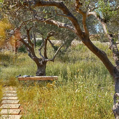 Willa New Luxury Olives & Thyme Retreat, Seaview With 2 Heated Pools