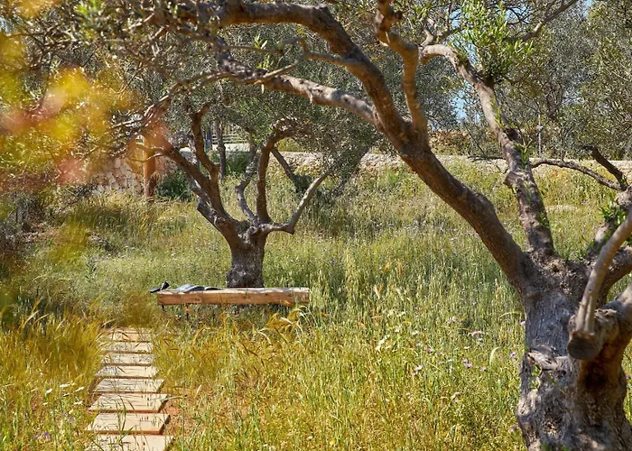 Villa New Luxury Olives & Thyme Retreat, Seaview With 2 Heated Pools